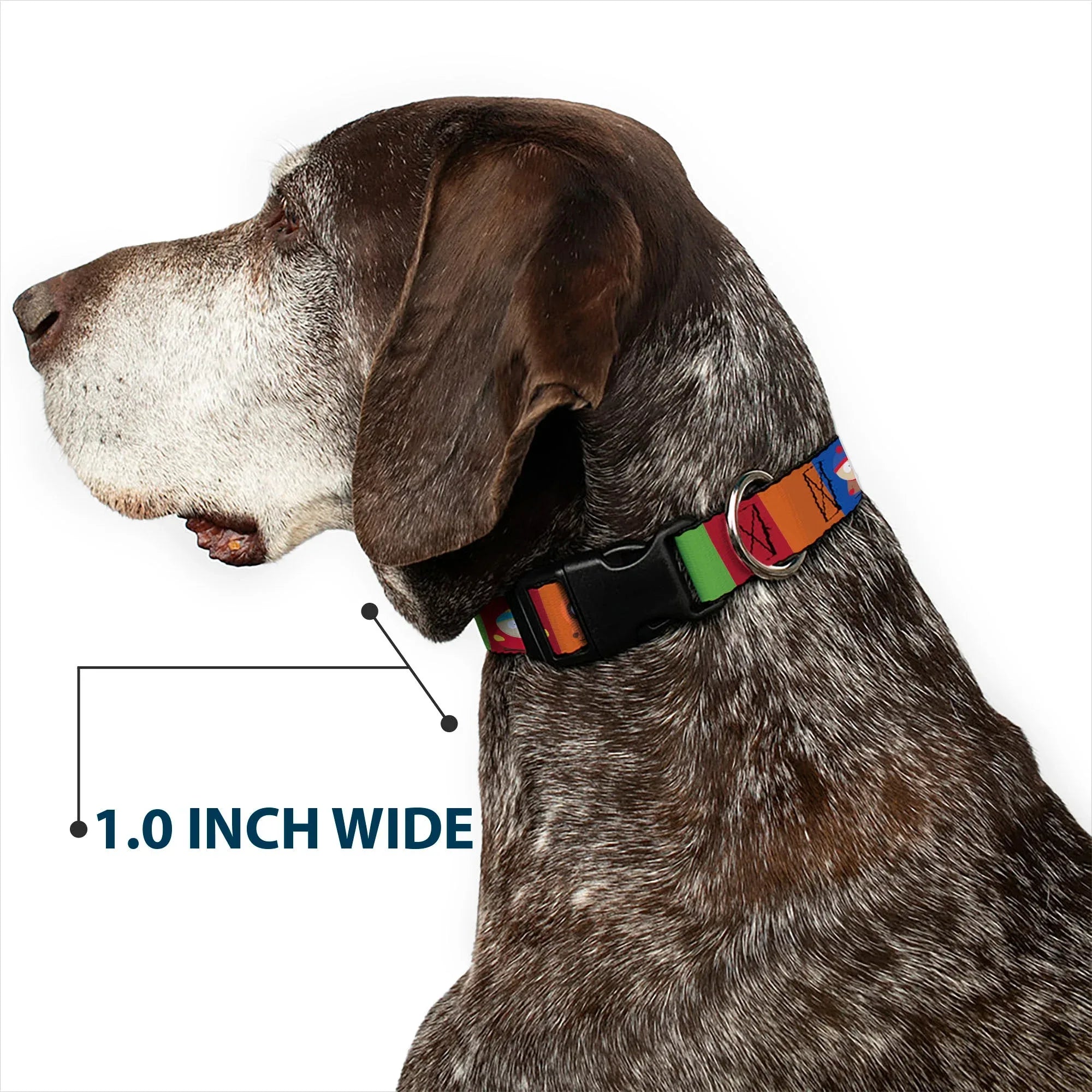 Plastic Clip Collar - South Park Boys Pose Blocks Multi Color