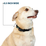 Plastic Clip Collar - South Park Boys Face Repeat Black