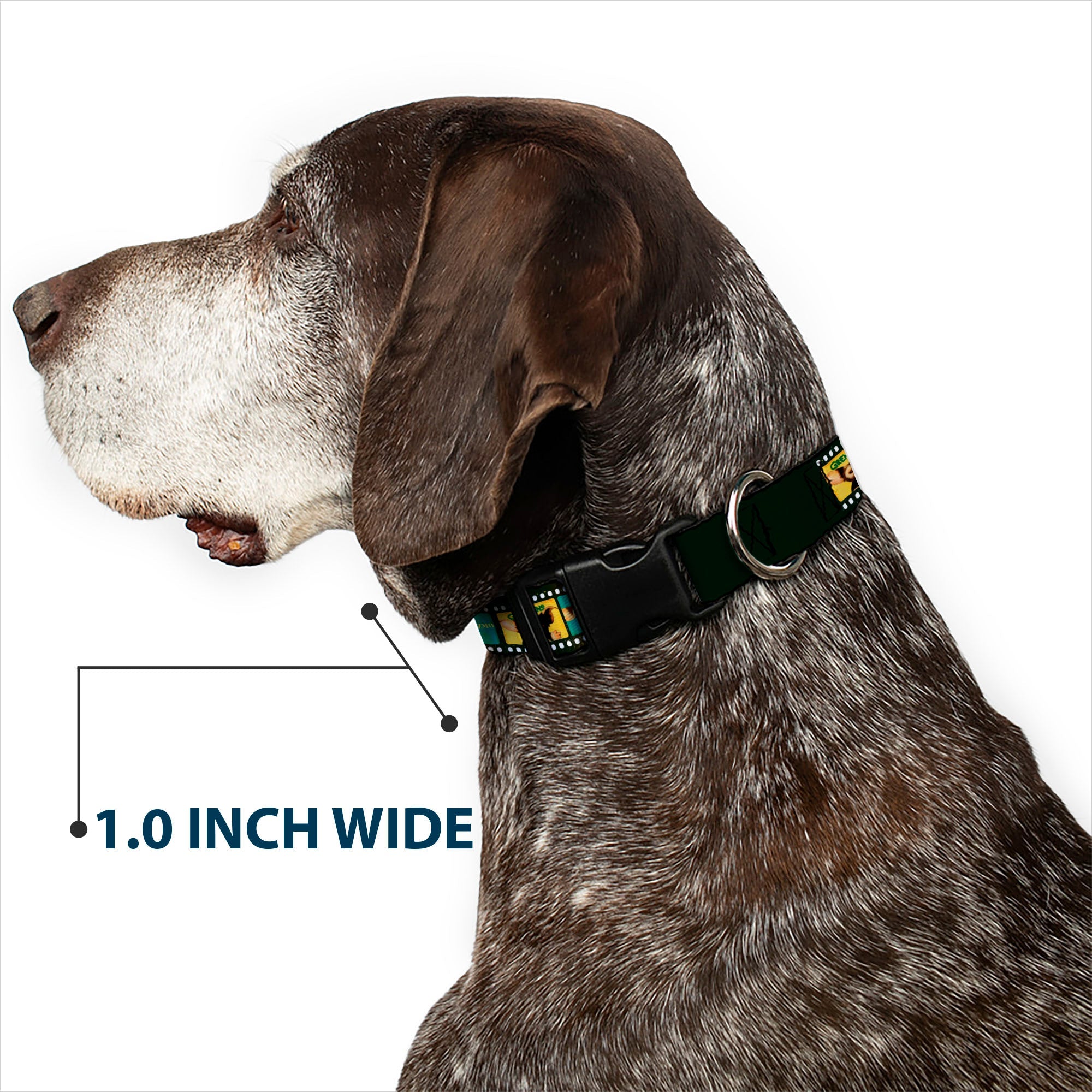 Plastic Clip Collar - Gremlins GIZMO Film Strip Pose Blocks