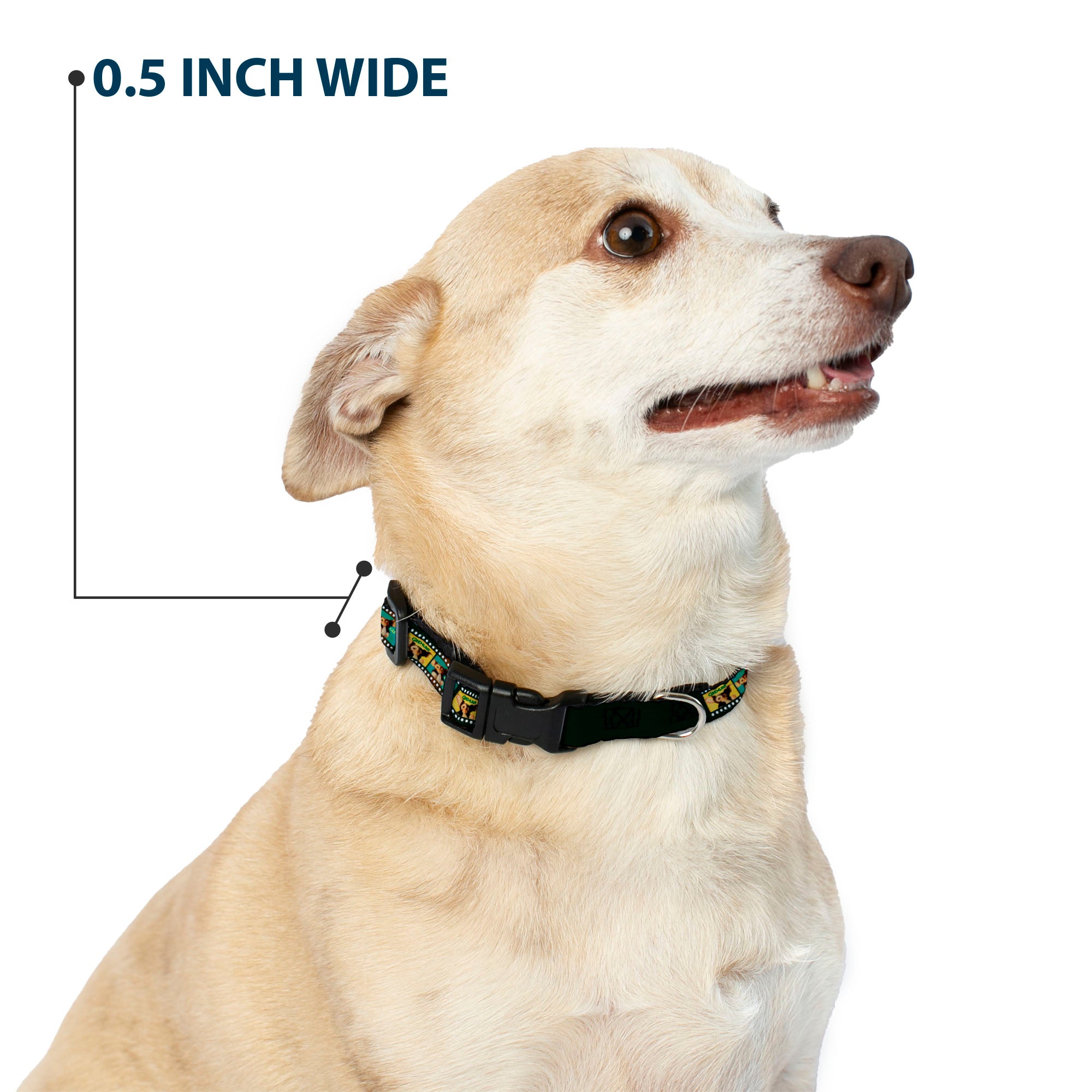 Plastic Clip Collar - Gremlins GIZMO Film Strip Pose Blocks