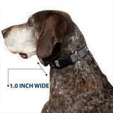 Plastic Clip Collar - Gremlins Gizmo Pose and Rules Collage Gray
