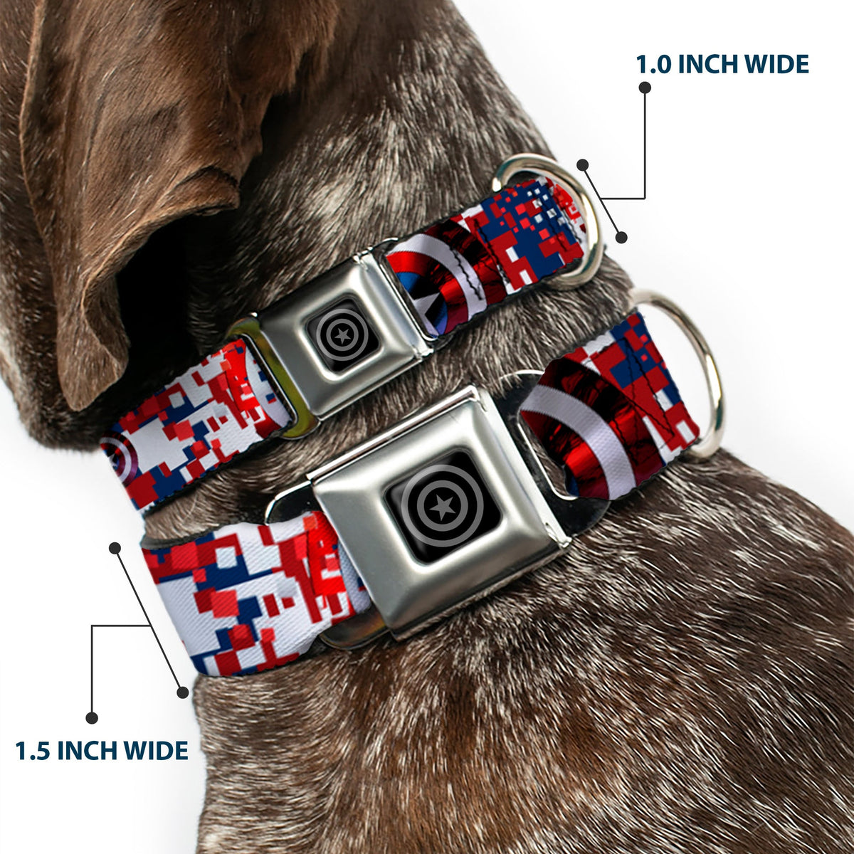 MARVEL AVENGERS Captain America Shield Black Silver Seatbelt Buckle Collar - Captain America Shield Digital Camo Blue/White/Red - Buckle-Down - Flyclothing LLC