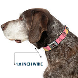 THE APOTHECARY DIARIES Title Logo Full Color Black/Red/White Seatbelt Buckle Collar - The Apothecary Diaries Chibi Maomao Cat Pose Pink/Yellow