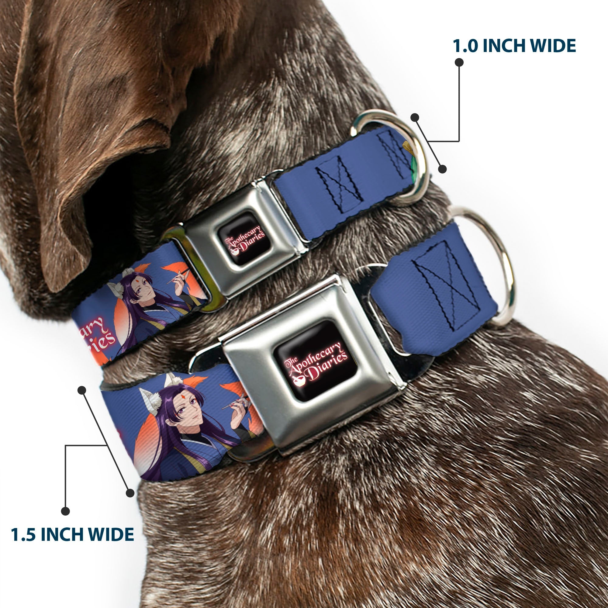THE APOTHECARY DIARIES Title Logo Full Color Black/Red/White Seatbelt Buckle Collar - THE APOTHECARY DIARIES Jinshi and Maomao Pose and Title Logo Purple