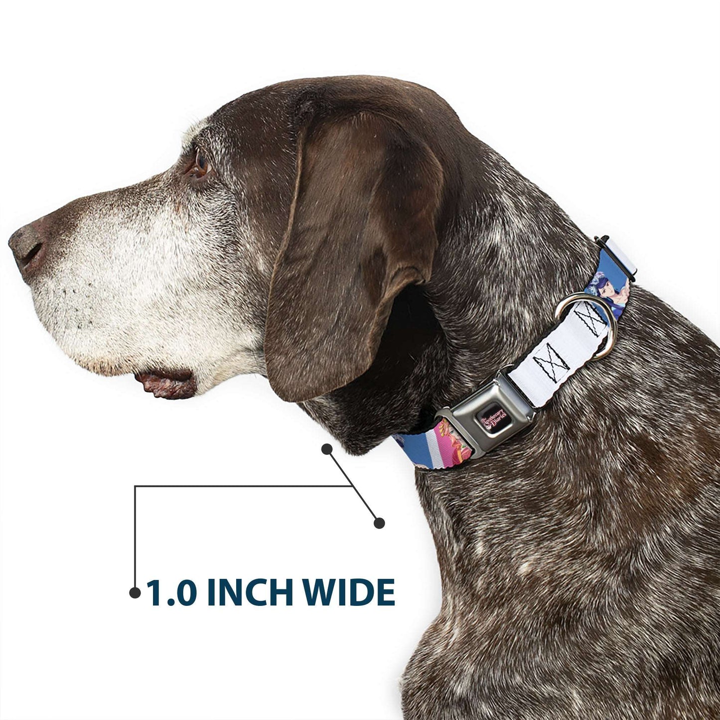 THE APOTHECARY DIARIES Title Logo Full Color Black/Red/White Seatbelt Buckle Collar - The Apothecary Diaries Gyokuyo and Lihua Pose Blocks White/Pink/Blue