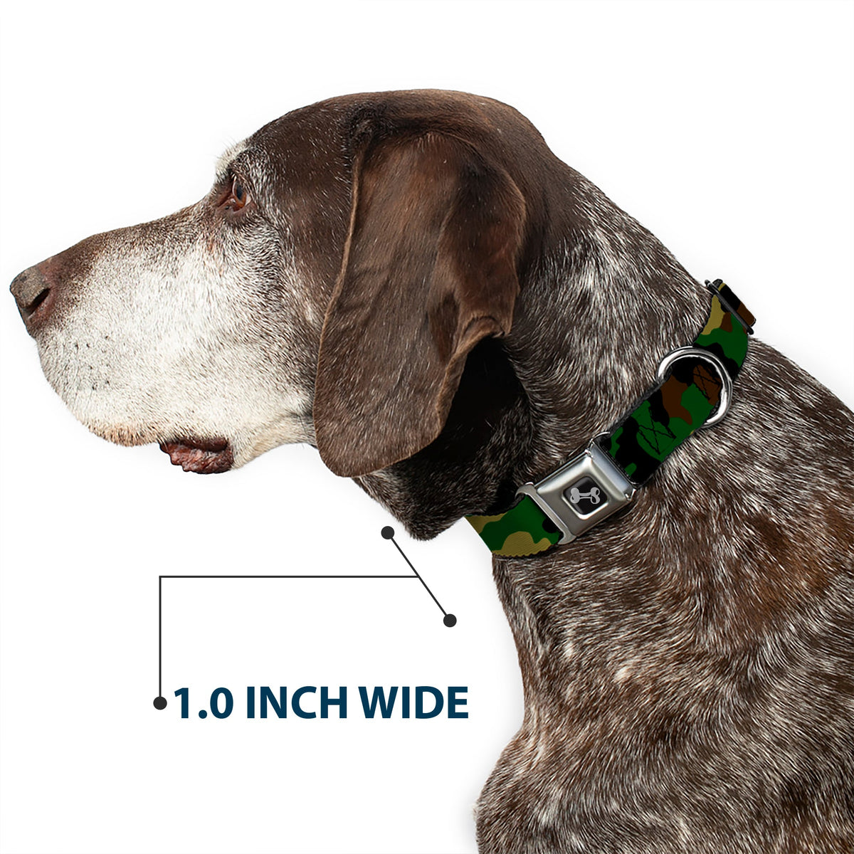 Dog Bone Seatbelt Buckle Collar - Camo Olive - Buckle-Down - Flyclothing LLC