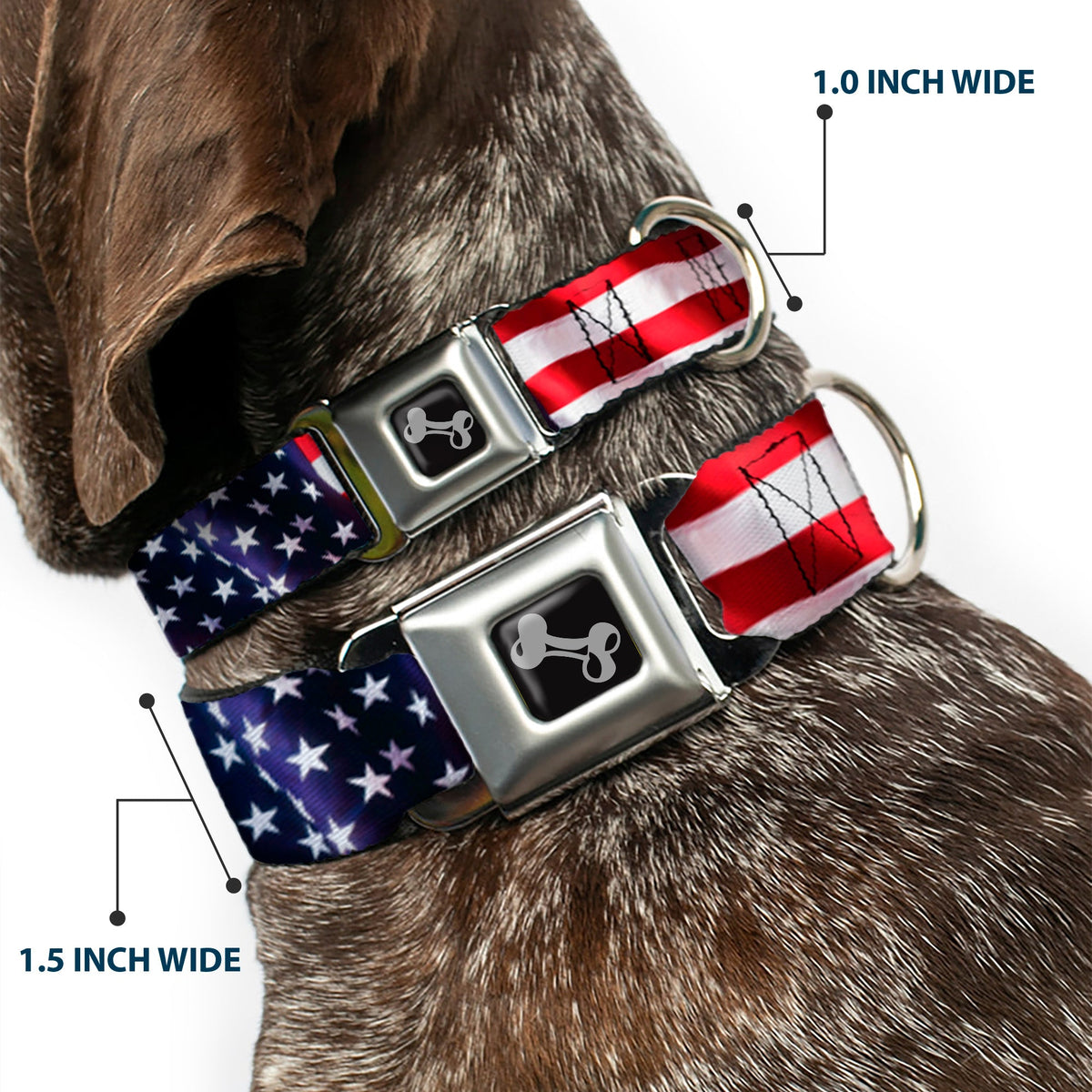 Dog Bone Seatbelt Buckle Collar - American Flag Vivid CLOSE-UP - Buckle-Down - Flyclothing LLC