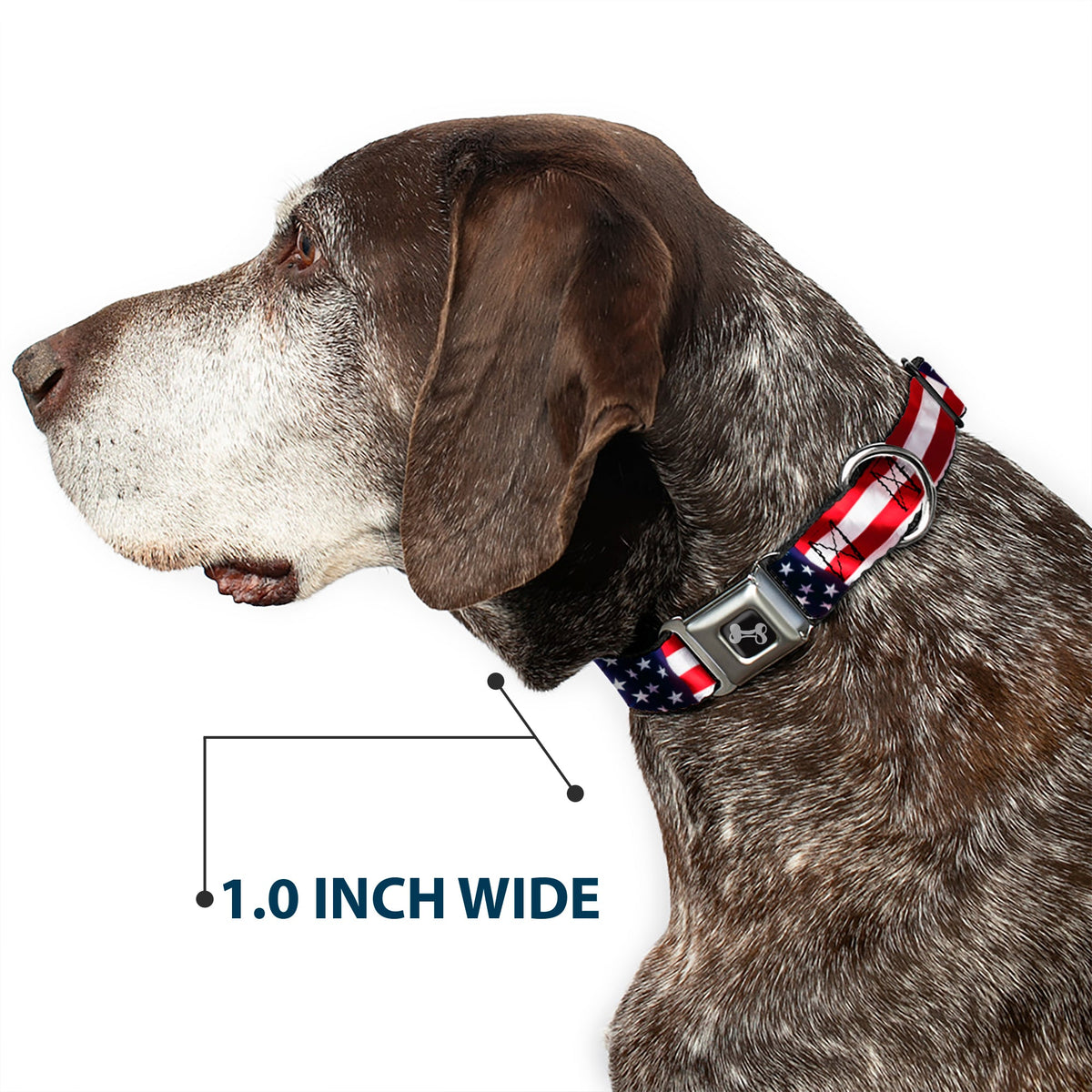 Dog Bone Seatbelt Buckle Collar - American Flag Vivid CLOSE-UP - Buckle-Down - Flyclothing LLC