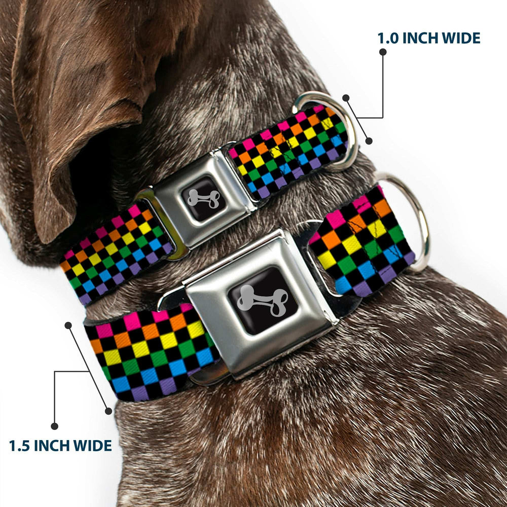 Dog Bone Seatbelt Buckle Collar - Checker Black/Neon Rainbow - Buckle-Down - Flyclothing LLC
