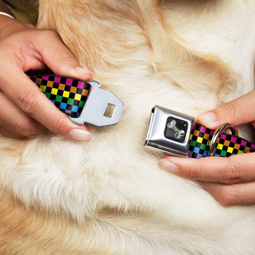 Dog Bone Seatbelt Buckle Collar - Checker Black/Neon Rainbow - Buckle-Down - Flyclothing LLC