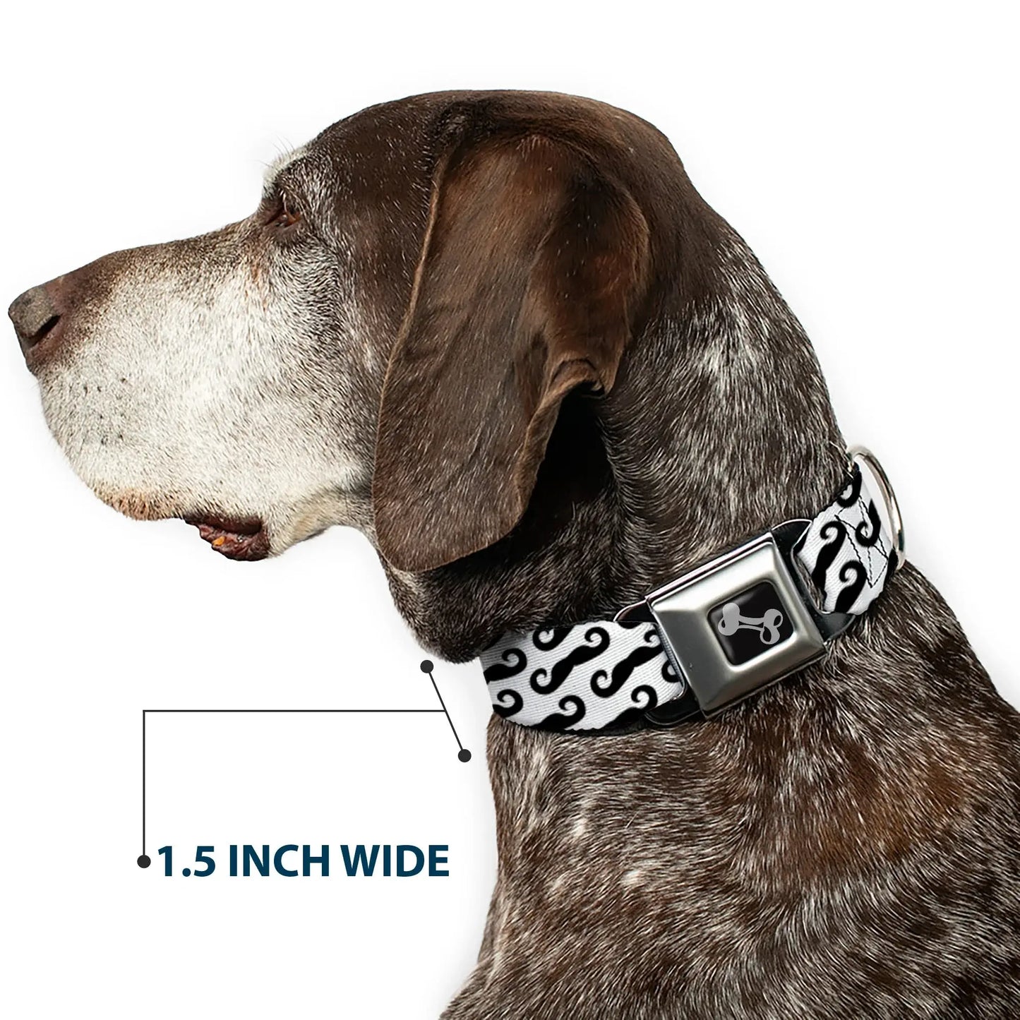Dog Bone Seatbelt Buckle Collar - Diagonal Handlebar Mustaches White/Black - Buckle-Down - Flyclothing LLC
