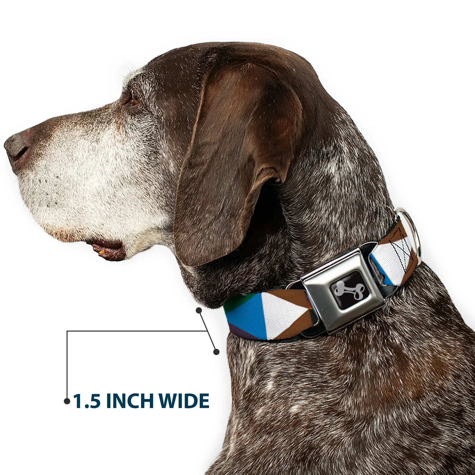 Dog Bone Seatbelt Buckle Collar - Geometric Triangle Blocks Multi Color - Buckle-Down - Flyclothing LLC