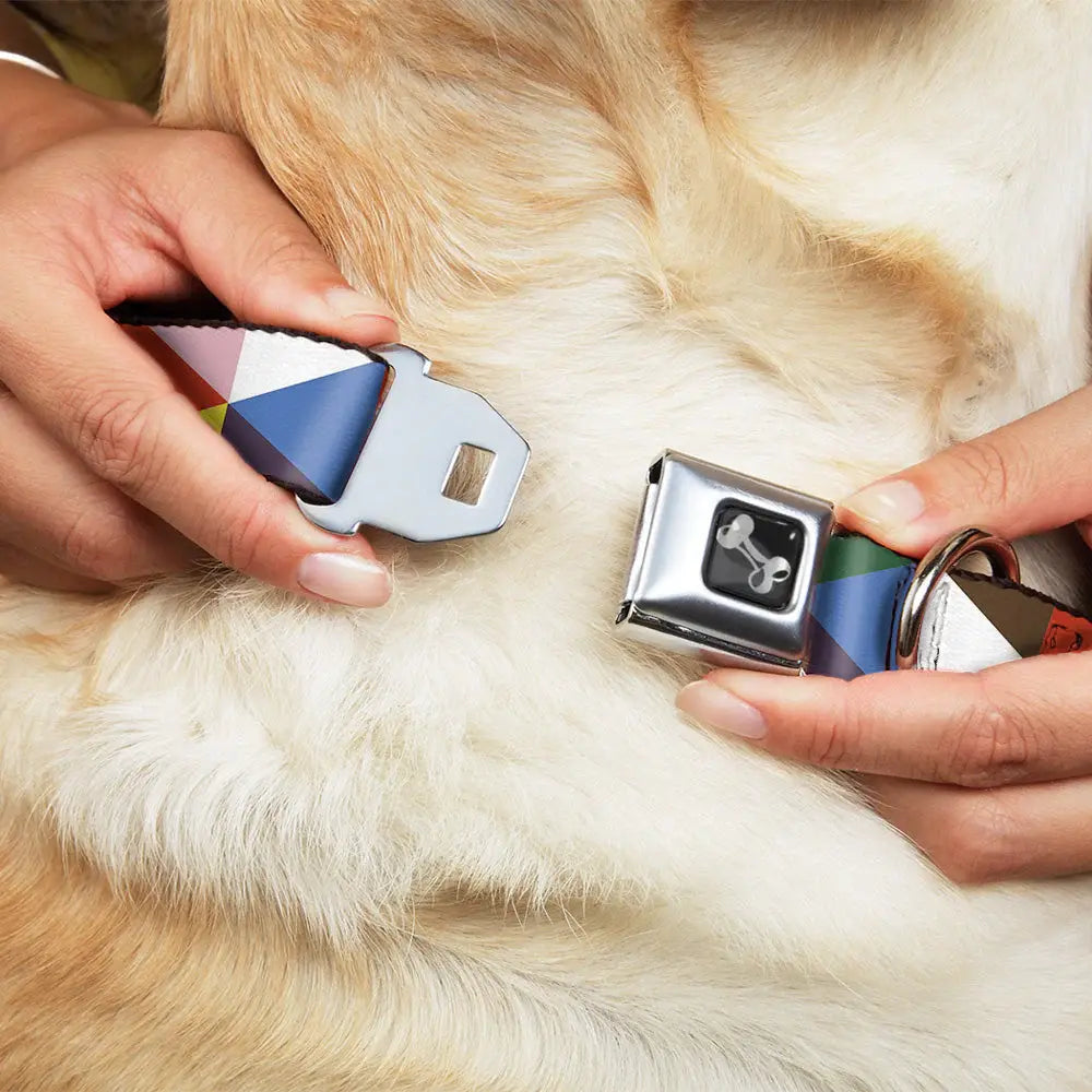 Dog Bone Seatbelt Buckle Collar - Geometric Triangle Blocks Multi Color - Buckle-Down - Flyclothing LLC