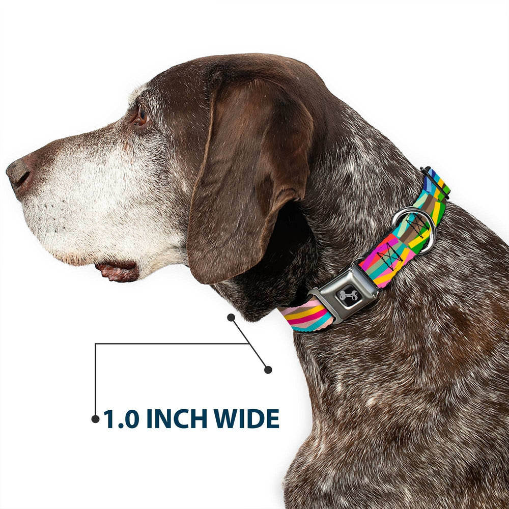 Dog Bone Seatbelt Buckle Collar - Geometric10 Multi Color - Buckle-Down - Flyclothing LLC