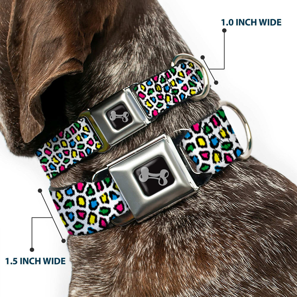 Dog Bone Seatbelt Buckle Collar - Leopard White/Multi Color - Buckle-Down - Flyclothing LLC