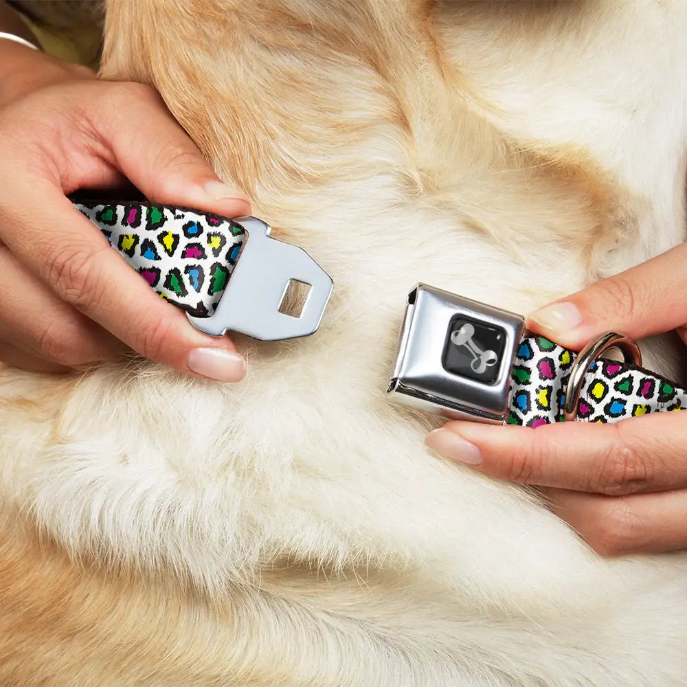 Dog Bone Seatbelt Buckle Collar - Leopard White/Multi Color - Buckle-Down - Flyclothing LLC