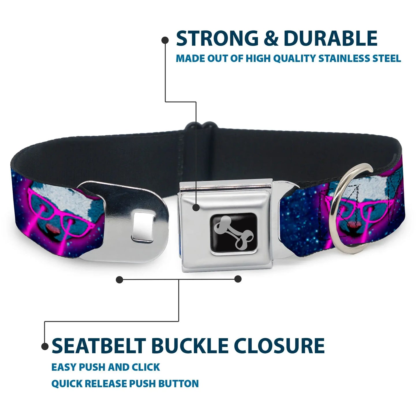 Dog Bone Seatbelt Buckle Collar - Laser Eye Cats in Space - Buckle-Down - Flyclothing LLC