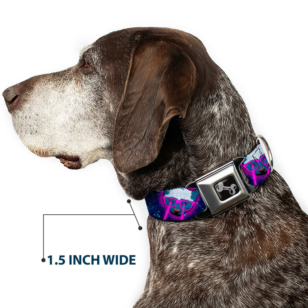 Dog Bone Seatbelt Buckle Collar - Laser Eye Cats in Space - Buckle-Down - Flyclothing LLC