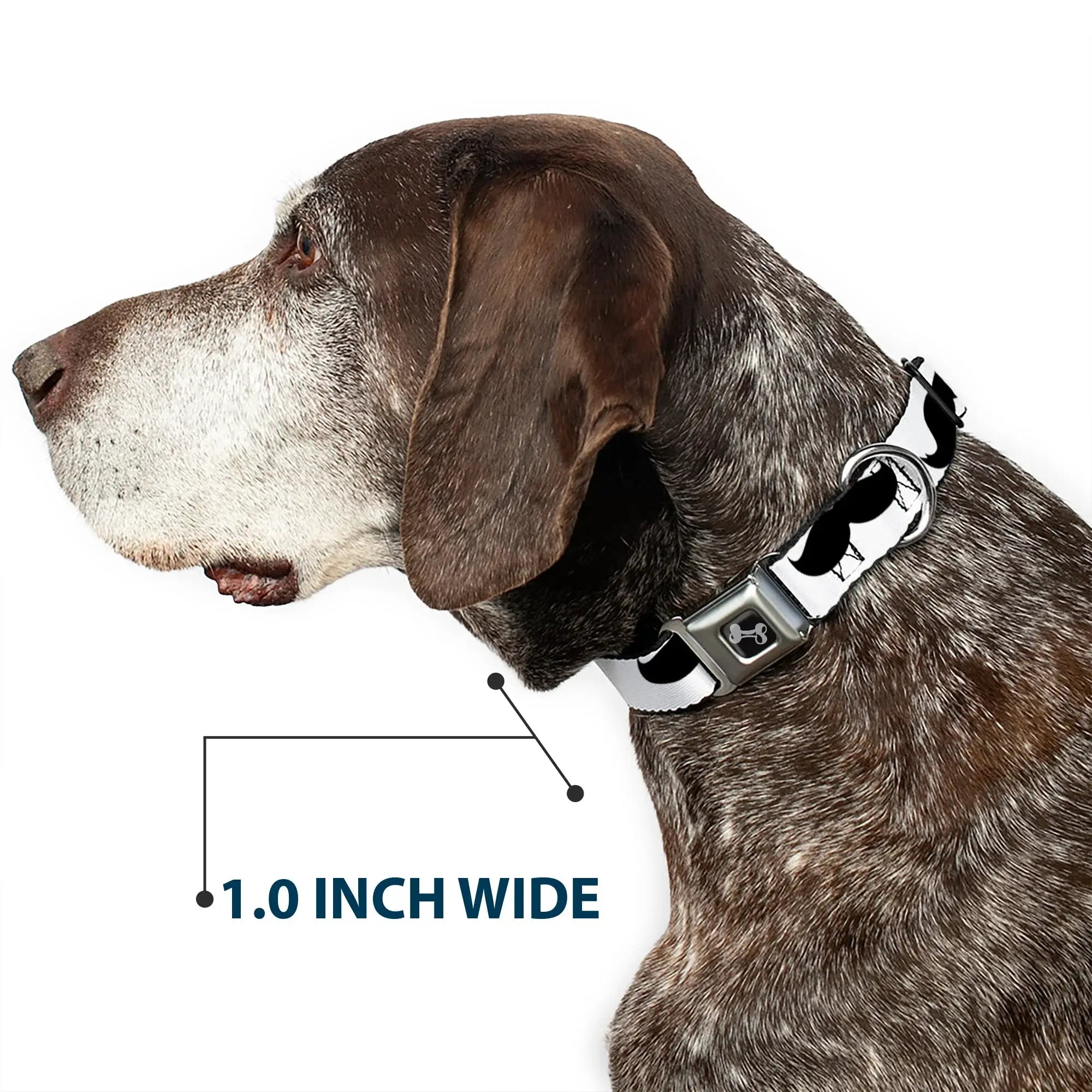 Dog Bone Seatbelt Buckle Collar - Mustaches White/Black - Buckle-Down - Flyclothing LLC