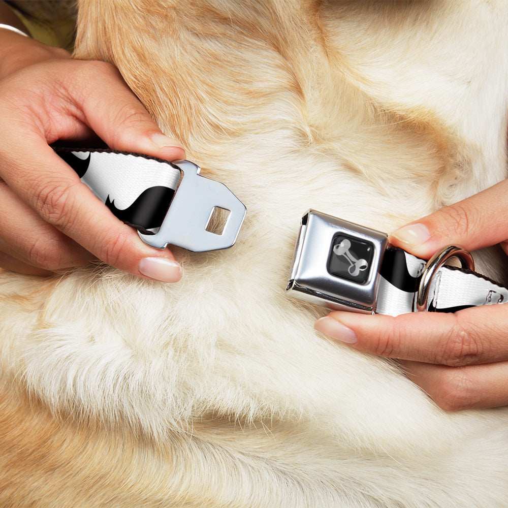 Dog Bone Seatbelt Buckle Collar - Mustaches White/Black - Buckle-Down - Flyclothing LLC