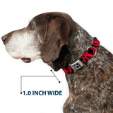 Dog Bone Seatbelt Buckle Collar - Peace Dots Black/Fuchsia - Buckle-Down - Flyclothing LLC