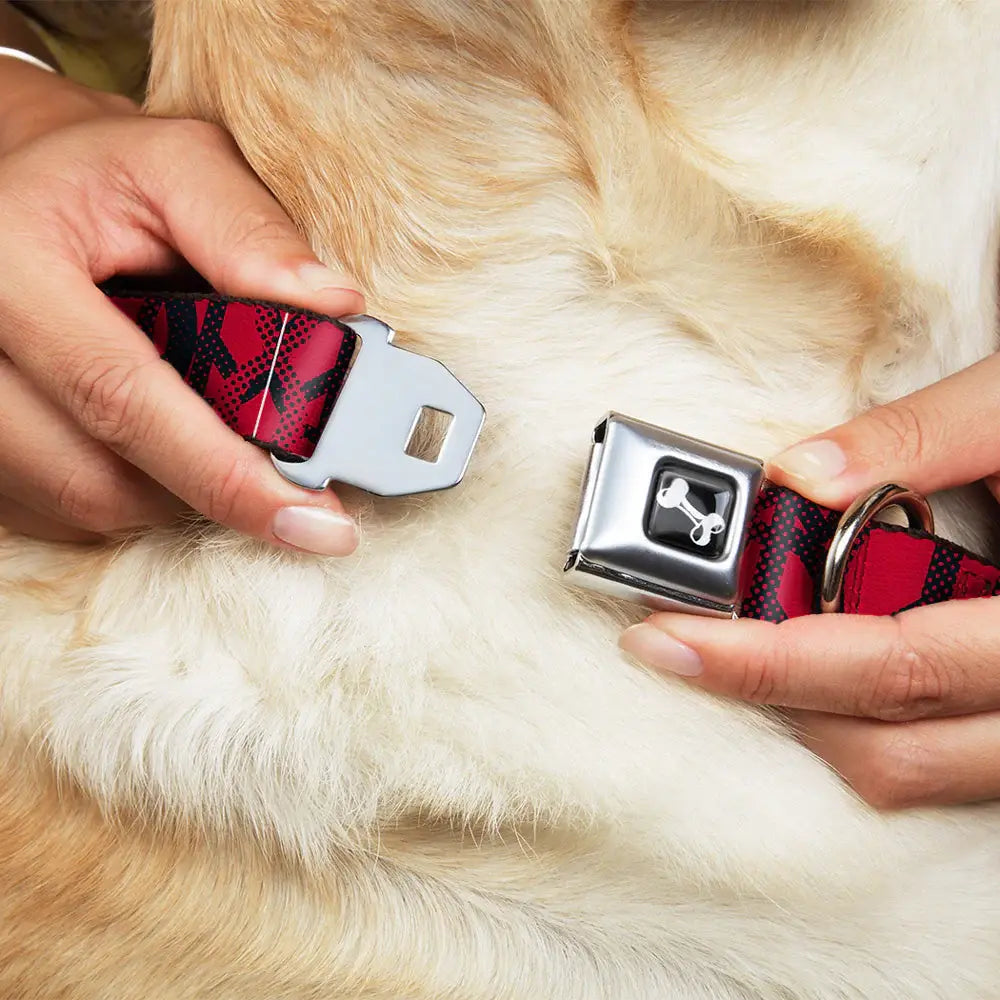 Dog Bone Seatbelt Buckle Collar - Peace Dots Black/Fuchsia - Buckle-Down - Flyclothing LLC