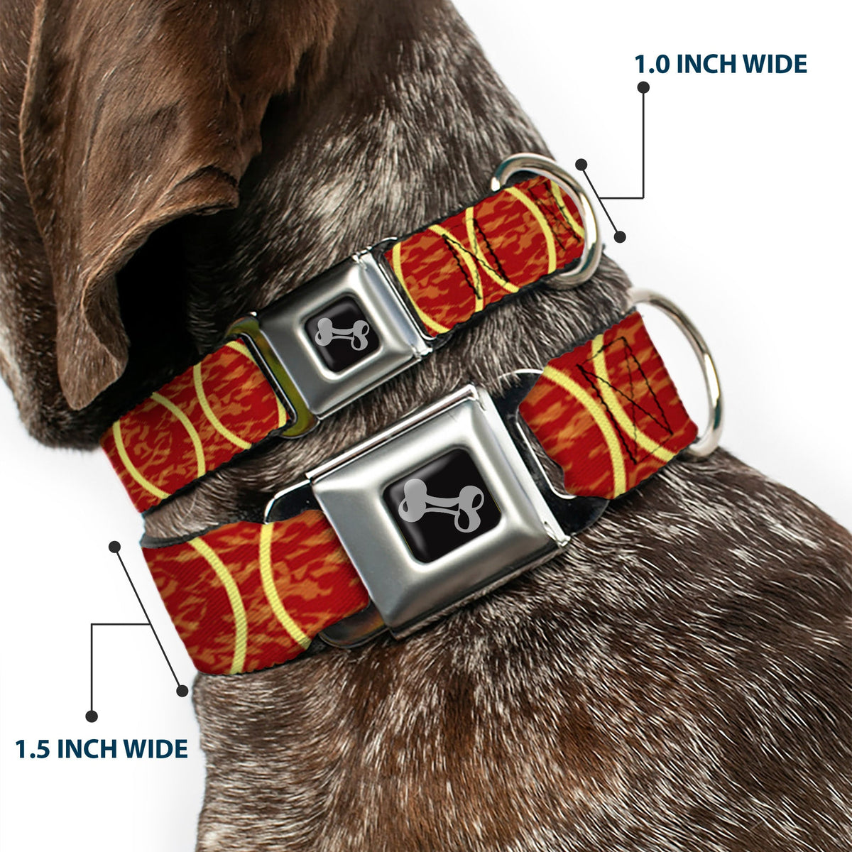 Dog Bone Seatbelt Buckle Collar - Rings Camo Burnt Orange/Yellow - Buckle-Down - Flyclothing LLC