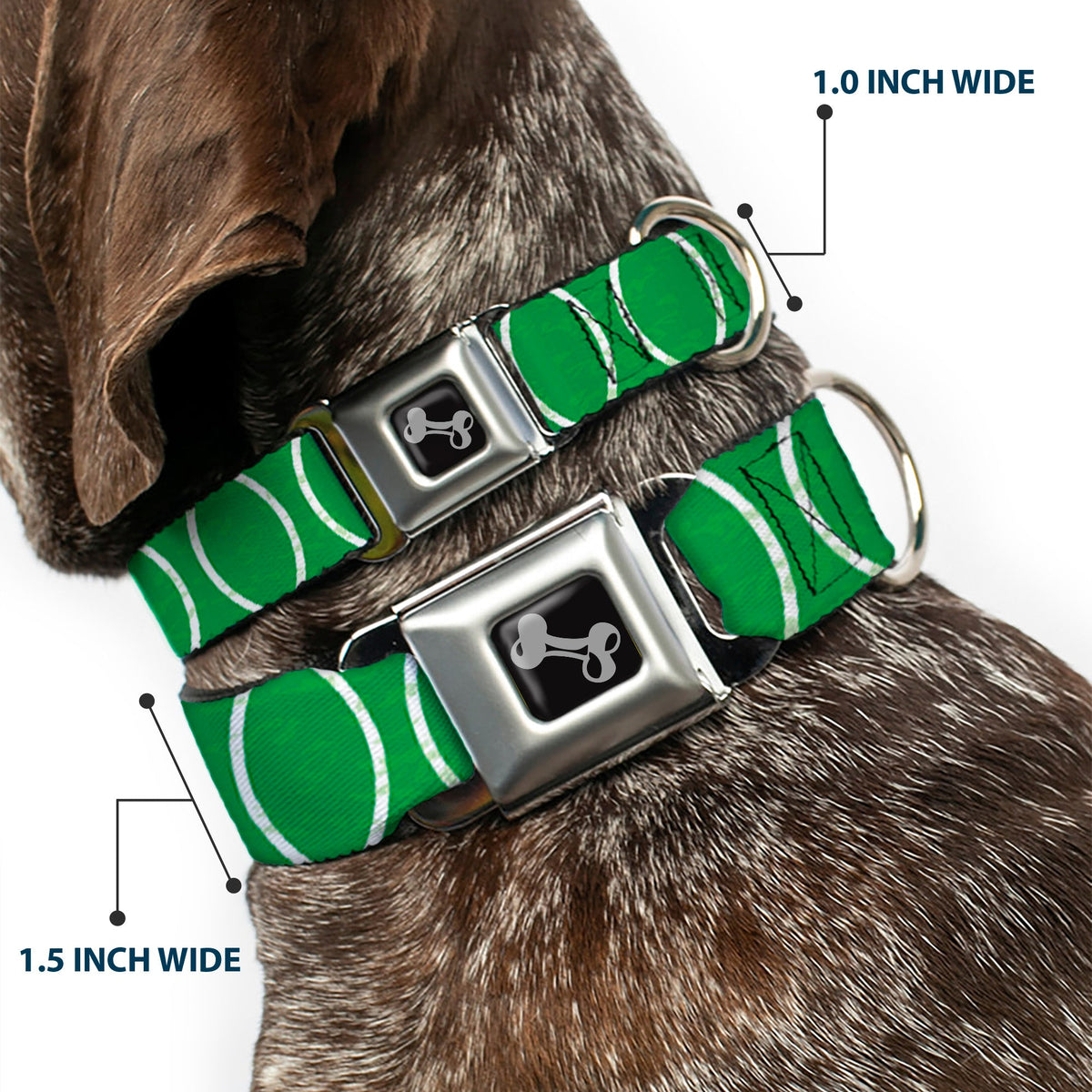 Dog Bone Seatbelt Buckle Collar - Rings Camo Neon Green/White - Buckle-Down - Flyclothing LLC