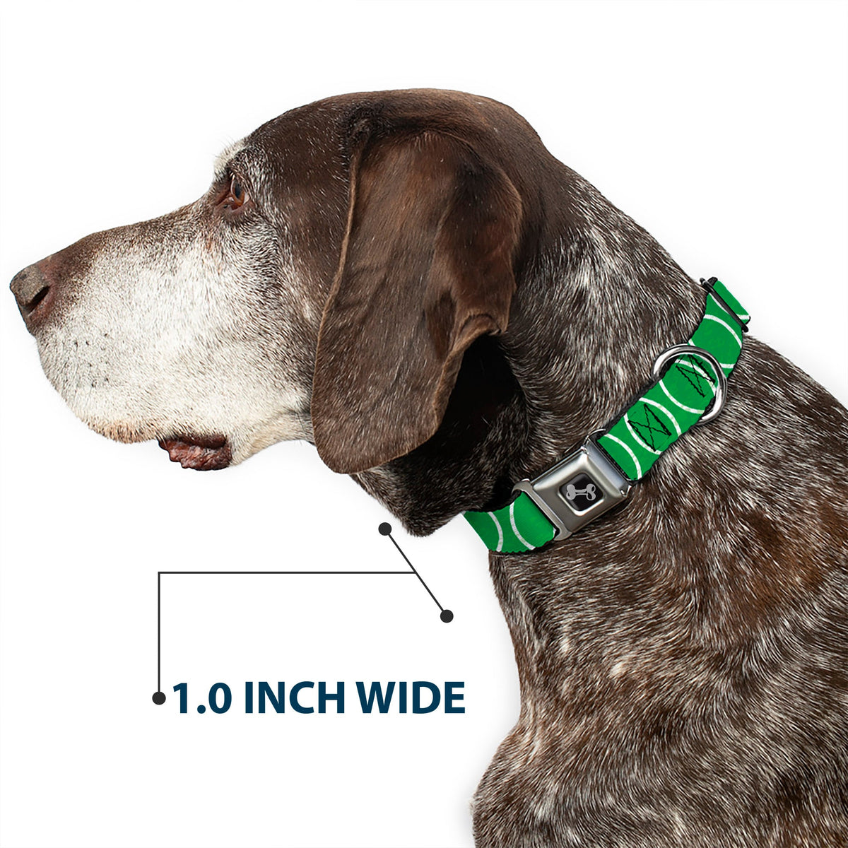 Dog Bone Seatbelt Buckle Collar - Rings Camo Neon Green/White - Buckle-Down - Flyclothing LLC