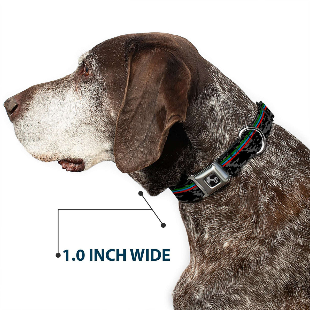 Dog Bone Black/Silver Seatbelt Buckle Collar - Racing Stripes/Digital Camo Black/Gray/Green/Blue/Red