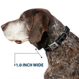 Dog Bone Black/Silver Seatbelt Buckle Collar - Racing Stripes/Digital Camo Black/Gray/Green/Blue/Red