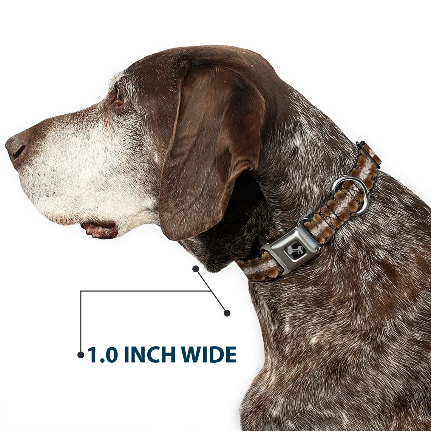Dog Bone Seatbelt Buckle Collar - Snake Skin 2 - Buckle-Down - Flyclothing LLC