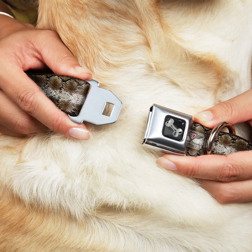 Dog Bone Seatbelt Buckle Collar - Snake Skin 2 - Buckle-Down - Flyclothing LLC