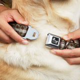 Dog Bone Seatbelt Buckle Collar - Snake Skin 2 - Buckle-Down - Flyclothing LLC