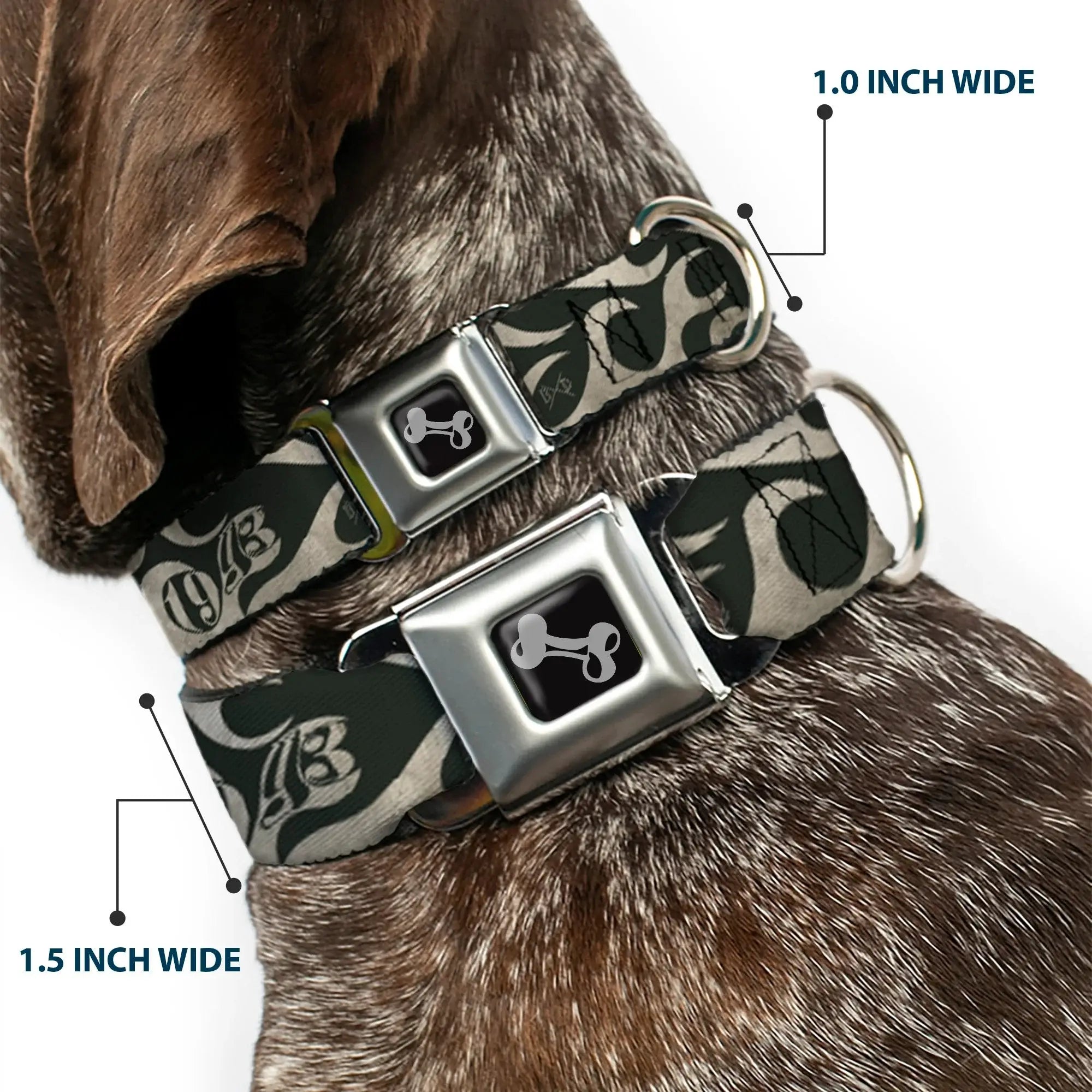 Dog Bone Seatbelt Buckle Collar - BD AUTHENTIC SEATBELT BELT SINCE 1993 Flames Olive/Tan - Buckle-Down - Flyclothing LLC