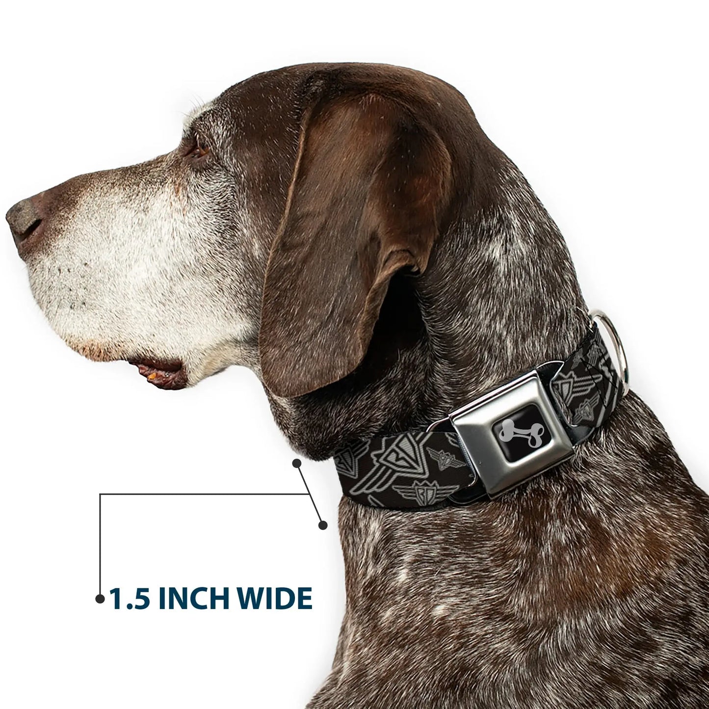 Dog Bone Seatbelt Buckle Collar - BD Logo Scattered Black/Gray - Buckle-Down - Flyclothing LLC