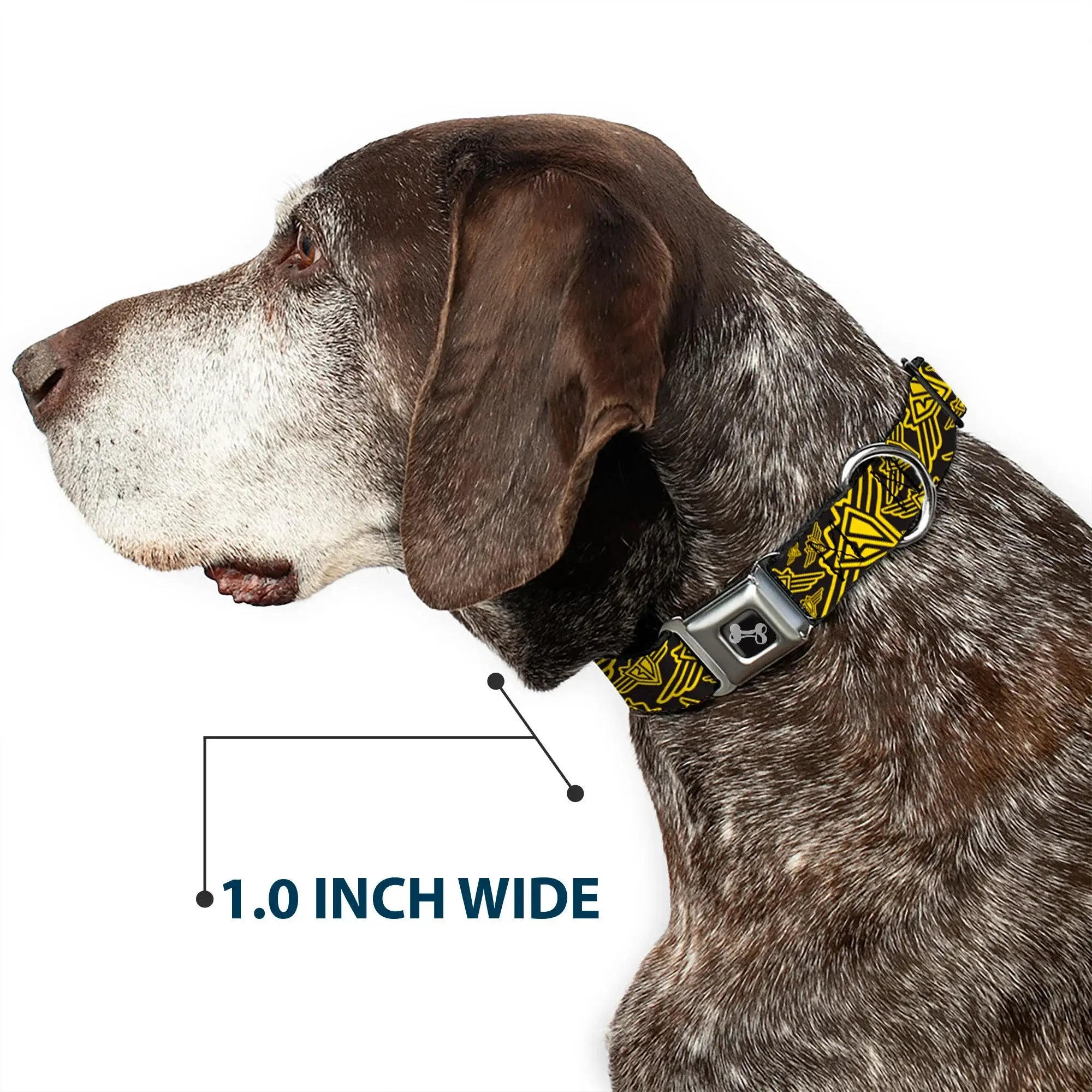 Dog Bone Seatbelt Buckle Collar - BD Logo Scattered Black/Yellow - Buckle-Down - Flyclothing LLC