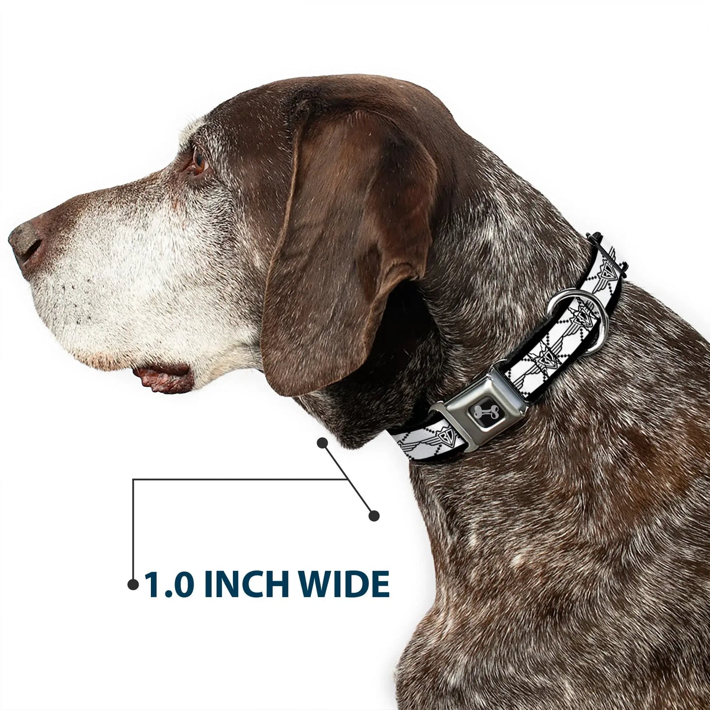 Dog Bone Seatbelt Buckle Collar - BD Monogram2 White/Black - Buckle-Down - Flyclothing LLC
