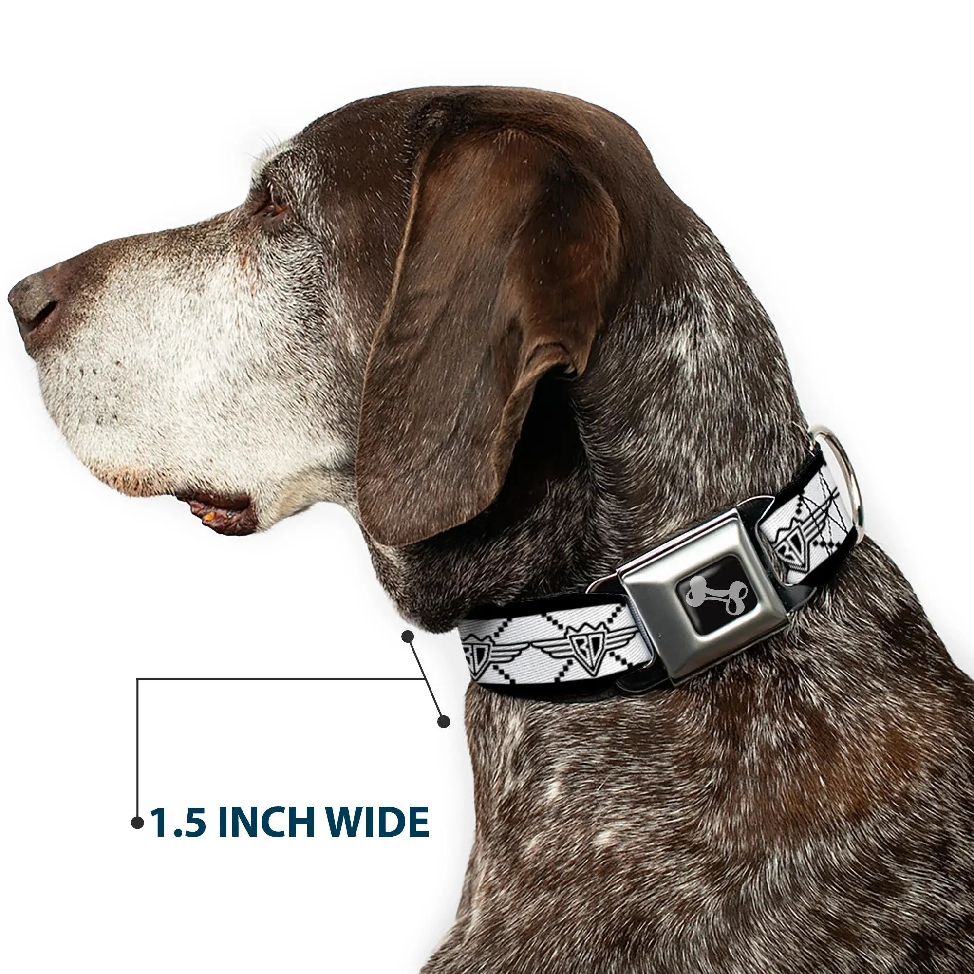 Dog Bone Seatbelt Buckle Collar - BD Monogram2 White/Black - Buckle-Down - Flyclothing LLC
