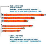 Dog Bone Seatbelt Buckle Collar - BUCKLE-DOWN Shapes Red/Orange - Buckle-Down - Flyclothing LLC