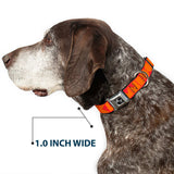 Dog Bone Seatbelt Buckle Collar - BUCKLE-DOWN Shapes Red/Orange - Buckle-Down - Flyclothing LLC