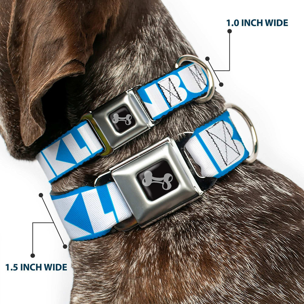 Dog Bone Seatbelt Buckle Collar - BUCKLE-DOWN Shapes Turquoise/White - Buckle-Down - Flyclothing LLC