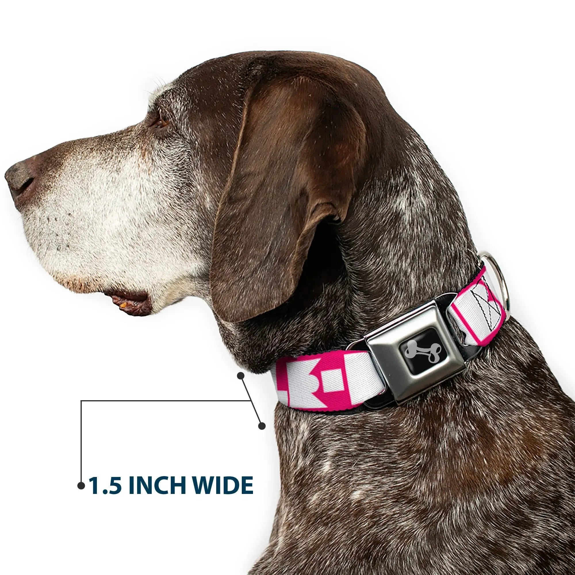 Dog Bone Seatbelt Buckle Collar - BUCKLE-DOWN Shapes Hot Pink/White - Buckle-Down - Flyclothing LLC