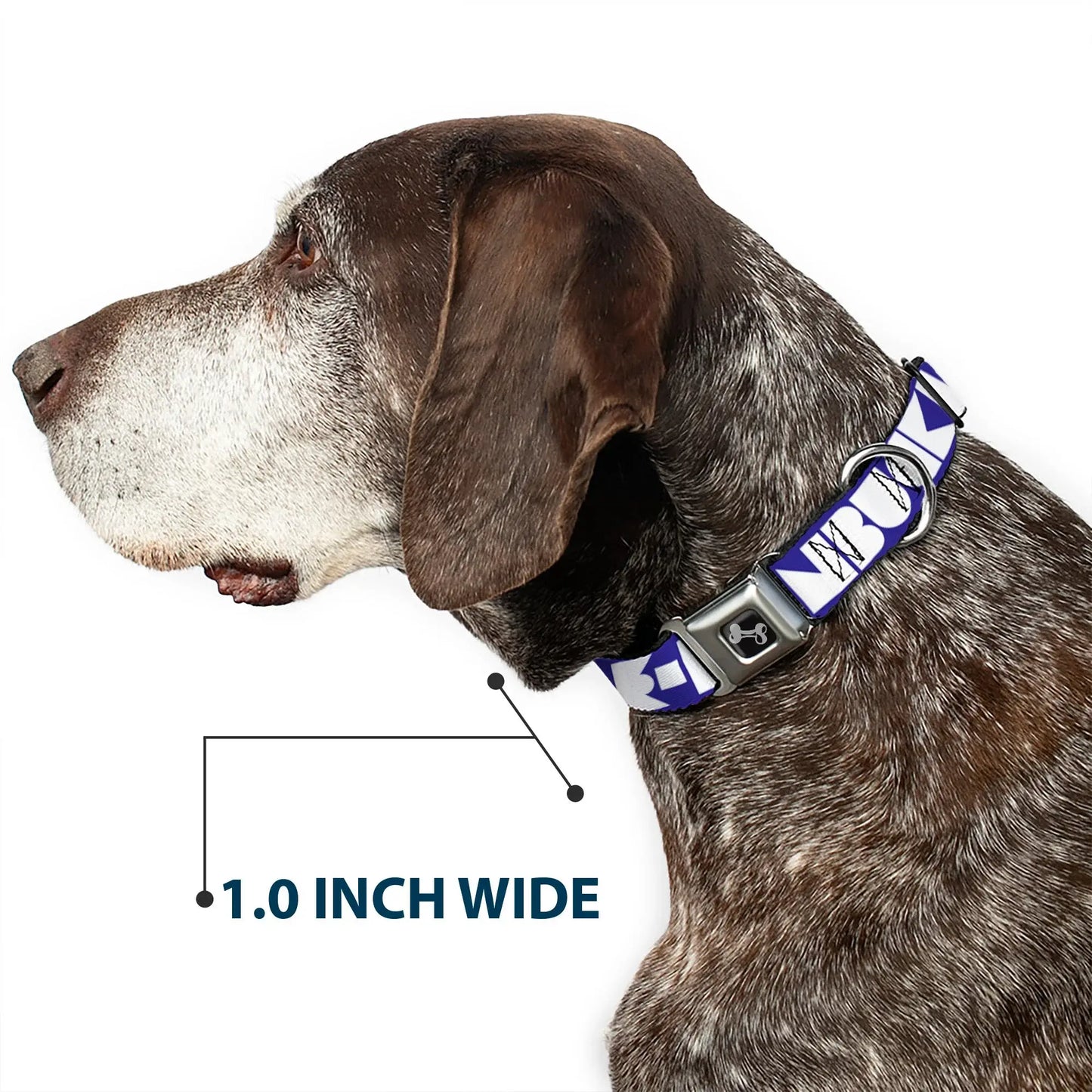 Dog Bone Seatbelt Buckle Collar - BUCKLE-DOWN Shapes Blue/White - Buckle-Down - Flyclothing LLC