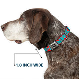 Dog Bone Seatbelt Buckle Collar - BUCKLE-DOWN Shapes Red/Dot Turquoise/White - Buckle-Down - Flyclothing LLC