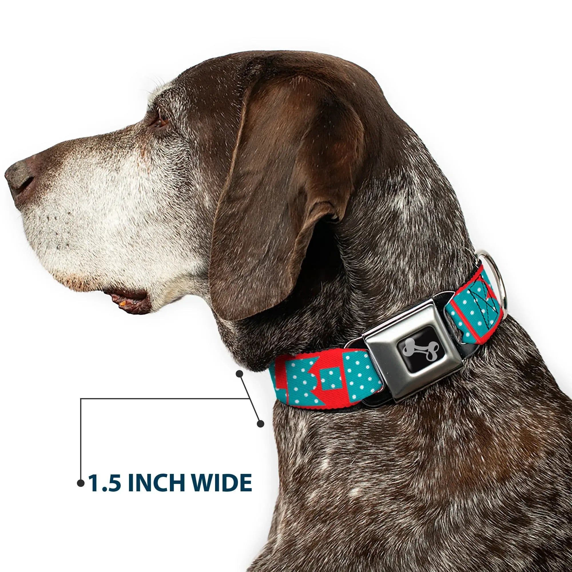 Dog Bone Seatbelt Buckle Collar - BUCKLE-DOWN Shapes Red/Dot Turquoise/White - Buckle-Down - Flyclothing LLC