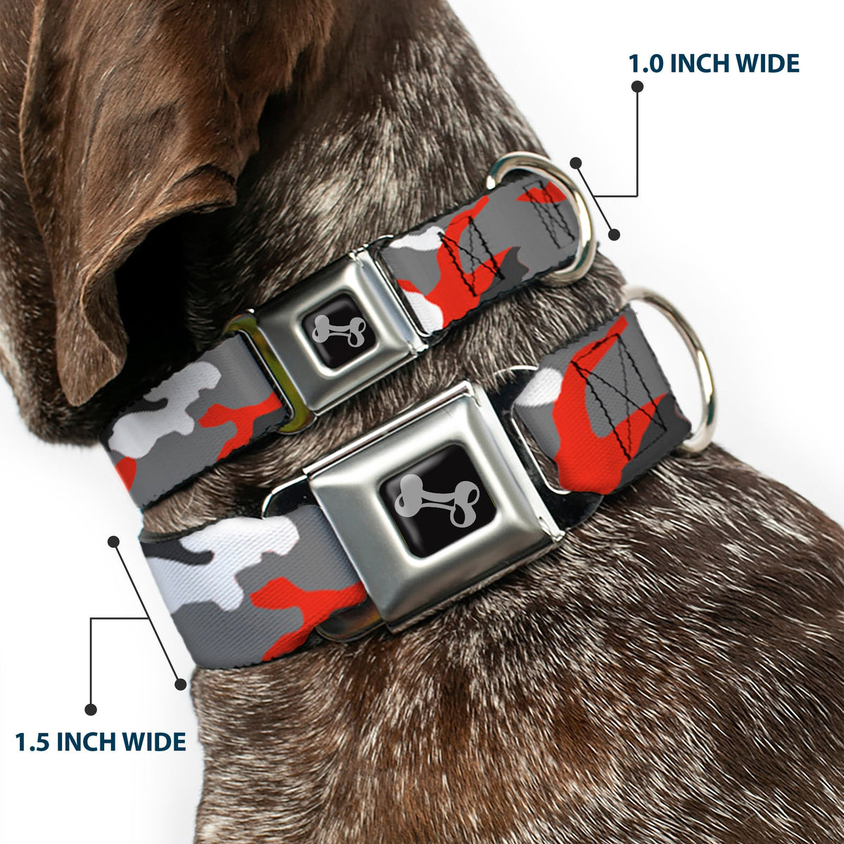 Dog Bone Seatbelt Buckle Collar - Camo Orange