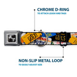 Dog Bone Seatbelt Buckle Collar - Cali License Plates Stacked - Buckle-Down - Flyclothing LLC