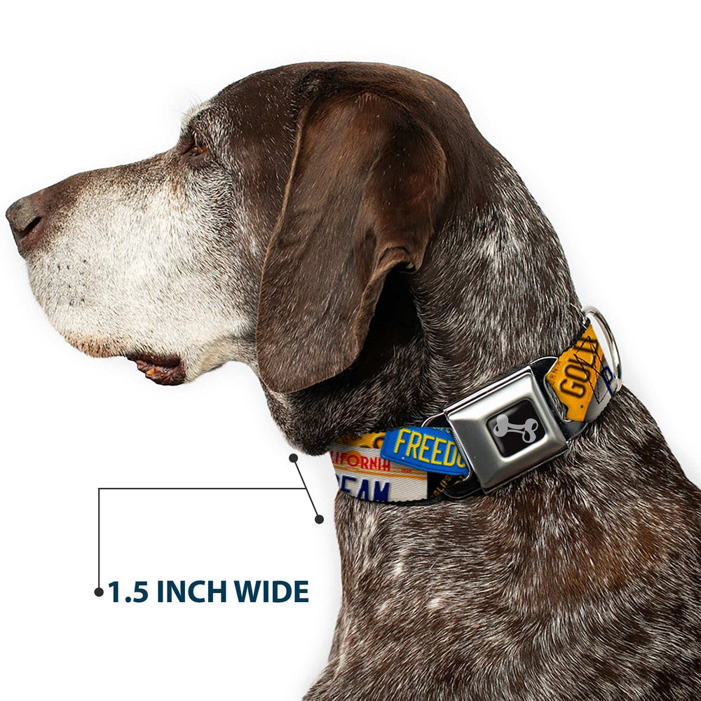 Dog Bone Seatbelt Buckle Collar - Cali License Plates Stacked - Buckle-Down - Flyclothing LLC