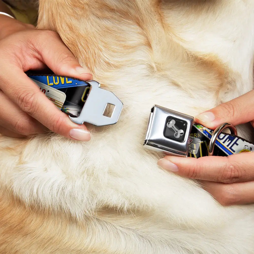 Dog Bone Seatbelt Buckle Collar - Cali License Plates Stacked - Buckle-Down - Flyclothing LLC